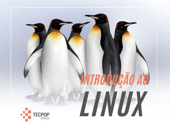 Introdução ao Linux